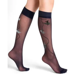 Mi Bas Vol D' Oiseaux Berthe Aux Grands Pieds